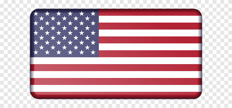 AMERİKA